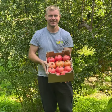 organic producer of pomegranates in Spain