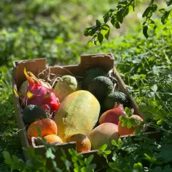 Mélange de fruits exotiques d'Espagne (5 kgs)