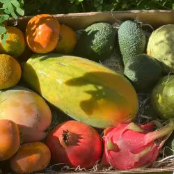 Mélange de fruits exotiques d'Espagne (5 kgs)