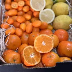 Mandarine Kumquat Zitronen