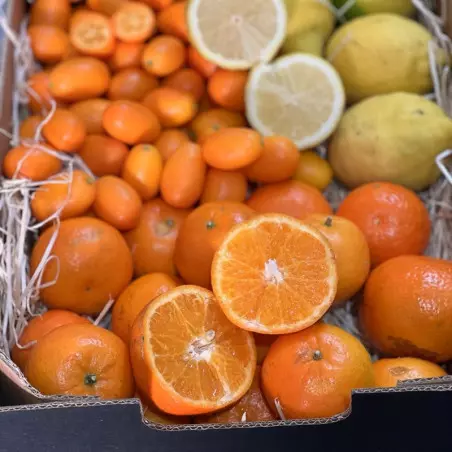 tangerina kumquat limões