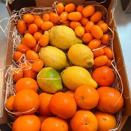 organic citrus mix from Spain