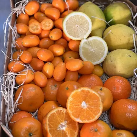 biologische mix direct van de producent mandarijn kumquat citroenen