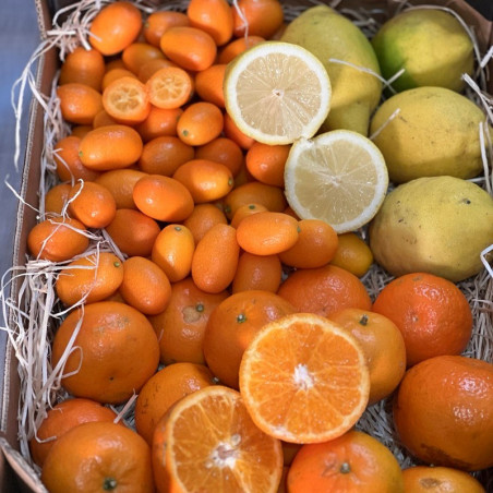 organic mix direct from producer mandarin kumquat lemons