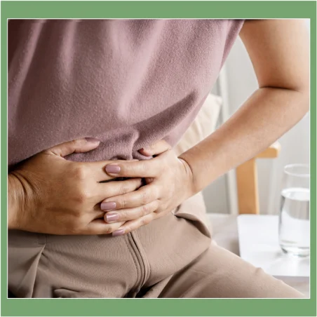 Saúde intestinal - Recupere o conforto digestivo