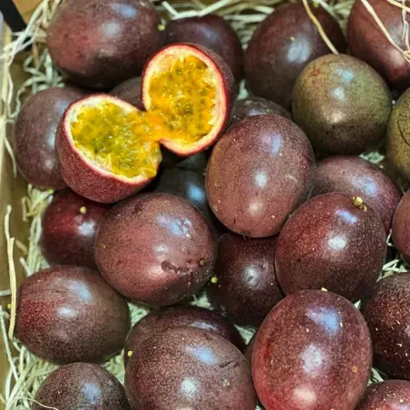 maracujas bio / maracuyas bio dell'Andalusia, frutti freschi raccolti a maturità