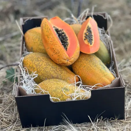 Organic papayas from Spain