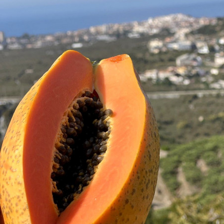 Cross-section view of an organic papaya