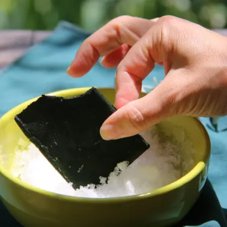 Quadrat aus gefrorener frischer Spirulina aus biologischem Anbau