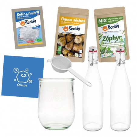 Pacote completo Kefir de fruta BIO