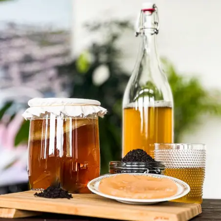 make your own kombucha at home with My Scoby