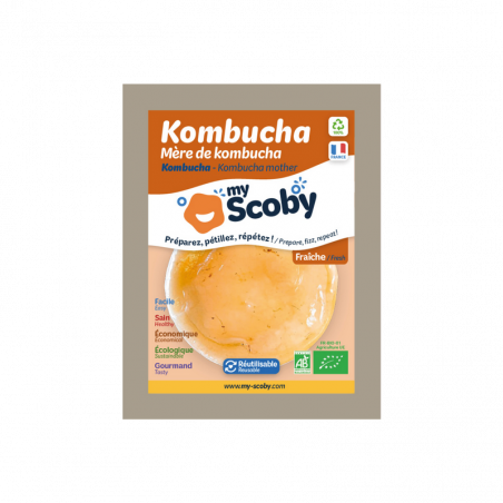 Verpackung von frischem Kombucha