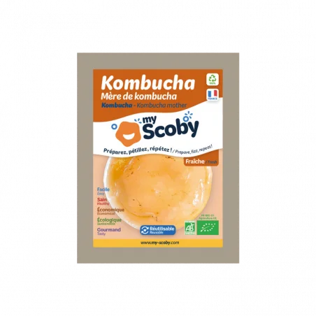 paquete mi madre scoby de kombucha fresca