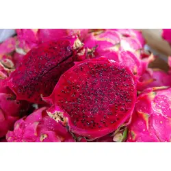 organic pitaya