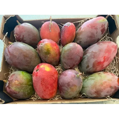 Biologische Keitt Mango (5 kg)