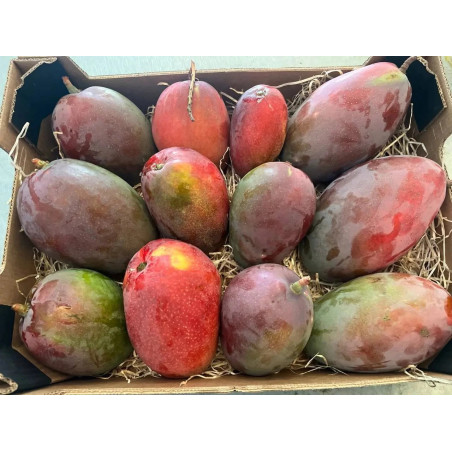 Organic Keitt mangoes from Spain | Iulian Andalousia