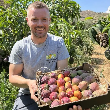 Mangues géantes biologiques d'Espagne | Rufino Andalousie