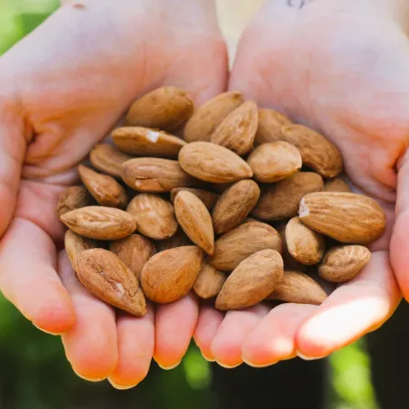 Organic activated whole almonds