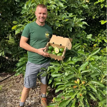 Biologische Hass-avocado's - Spanje, 5 kg