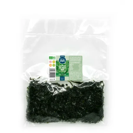 Fresh organic sea lettuce seaweed | BRETALG