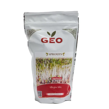 mix vivace bio geo graine germée