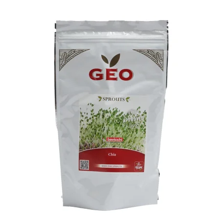 graine chia bio geo germé