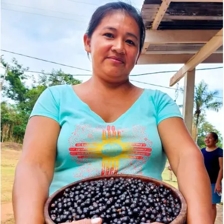 Pó de Açaí liofilizado BIO e justo - 80g