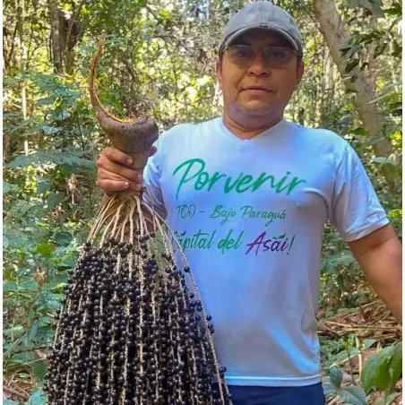 Nueces de Brasil (Amazonia) Orgánicas - 1 Kg