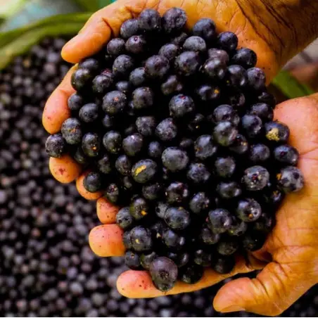 Pó de Açaí liofilizado BIO e justo - 80g