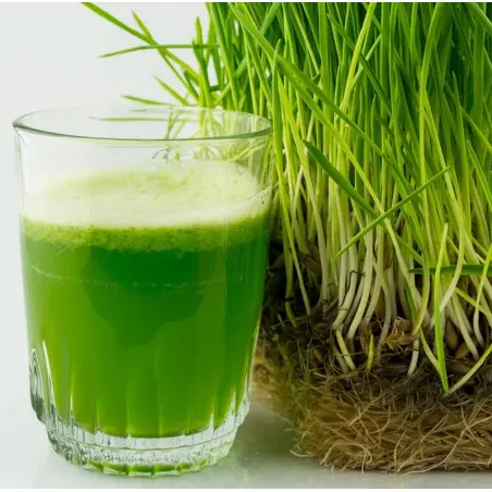 Living Light green juice