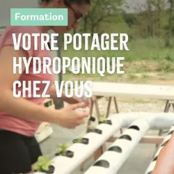 Hydroponics Training at Home - Les Sourciers Farm