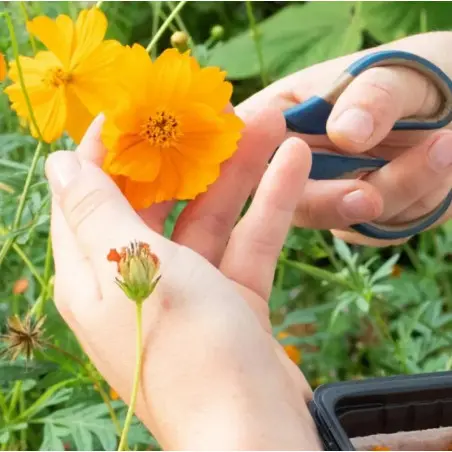 Hydrocultuur Thuis Opleiding - Boerderij Les Sourciers