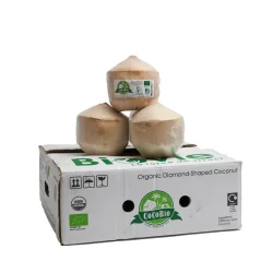 Organic fresh coconuts | Pallet of carton boxes