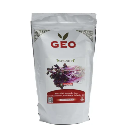 graine radis rouge bio geo germé