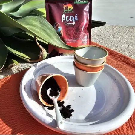 Organic and fair trade freeze-dried açaí powder