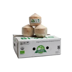 Organic Fresh Coconuts | Box of 9 Units