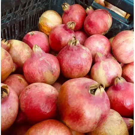 Biologische granaatappels uit Spanje (4 kg)