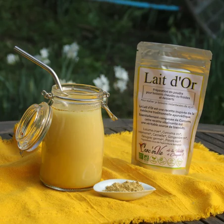 Latte d'oro biologico in polvere (100g)