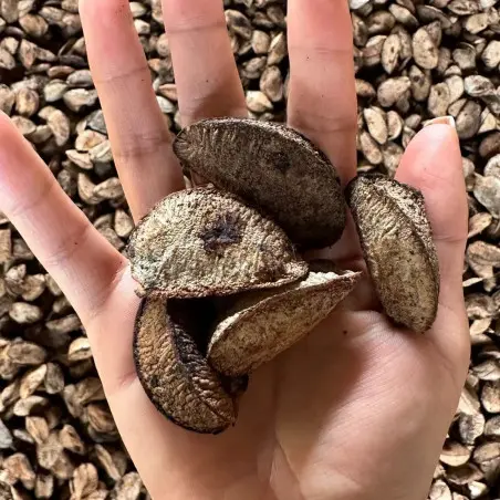 Nueces de Brasil (Amazonia) Orgánicas - 1 Kg