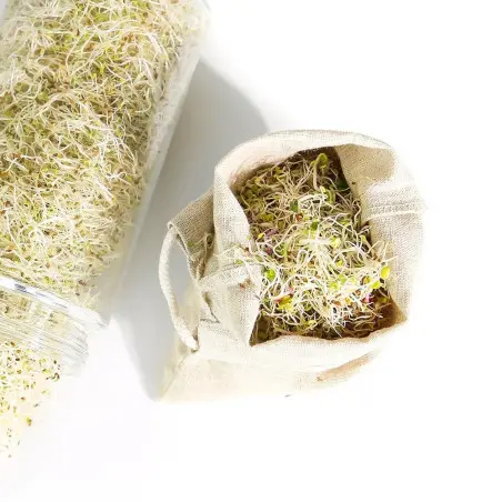 Sproutbag (Hemp composition)