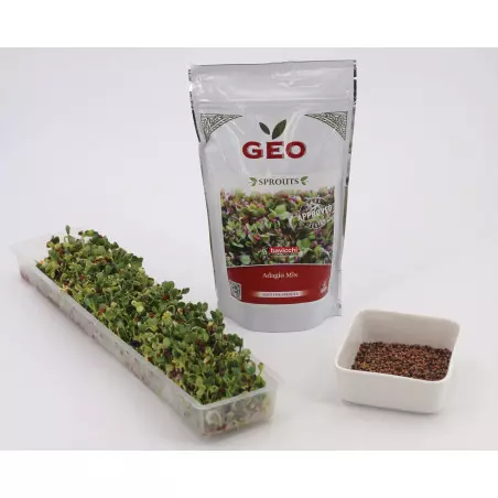 sementes germinadas e sementes para germinar GEO com embalagem