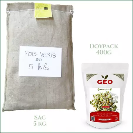 brotos de ervilha verde sementes para germinar sementes germinadas