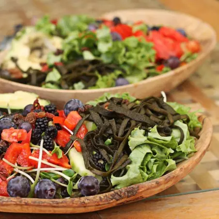 Milieuvriendelijke Gerecycleerd Houten Bord voor aperitief of salade