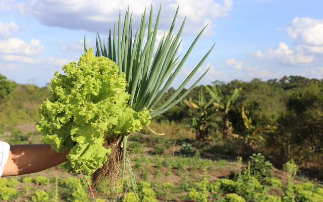 Agroecología