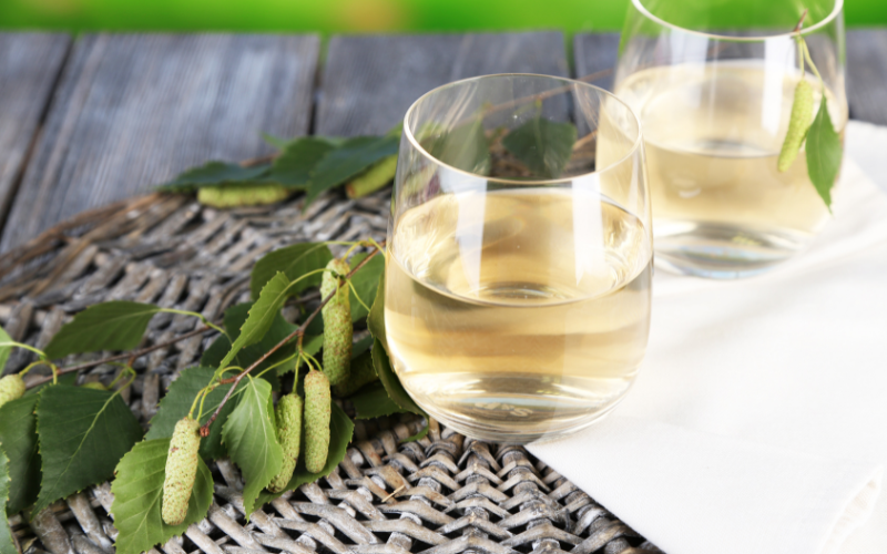 Comment consommer la sève de bouleau fermentée ?